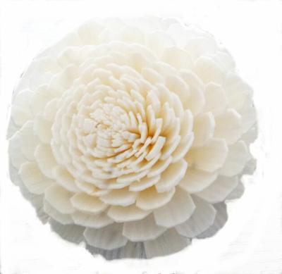 China Wholesale Fashional Sustainable Design With Diameter 4.5cm Artificial Sola Flower For Scents Diffuser for sale