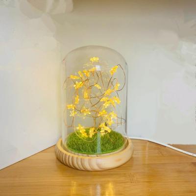 China Decoration Wholesale Fashional Design and High Quality LED Glass Dome with Wooden Base for Home and Festival Decorations for sale