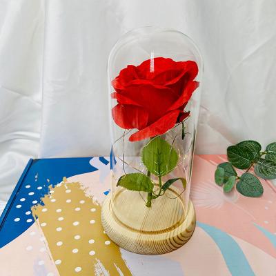 China Hot Selling Flower Head Amazon Beauty And The Beast Preserved Rose Glass Dome With Christmas Gift for sale