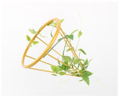 China Hot Sale Minimalist Gold Metal Frame Vase In Home Decoration Iron Multi Shaped Vase for sale