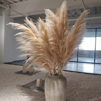 China Wholesale 90CM Wedding Home Decoration Discount Decoration Natural Dry Flowers Brown Large Size Dried Pampas Grass Artificial Flower for sale