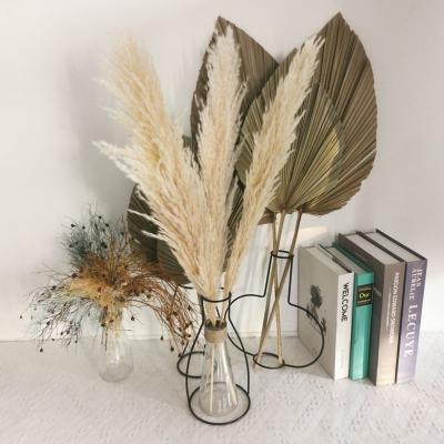 China Artificial Plastic Reed Grass Indoor Hotel Indoor Hotel Viridis Foxtail Pampas Green Decoration Flower For Home And for sale