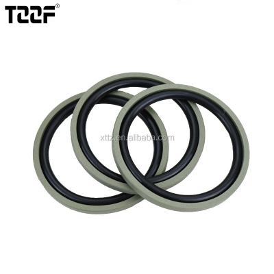 China Double Acting Seals Specializing in O-ring Combine O-Rings Glyd Ring-Step Seal for sale