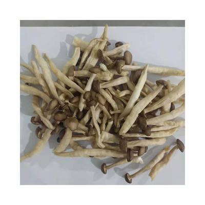 China Low Fat Eco-friendly Dried Mushroom Chips Low Temperature Fried Good Quality Snack for sale