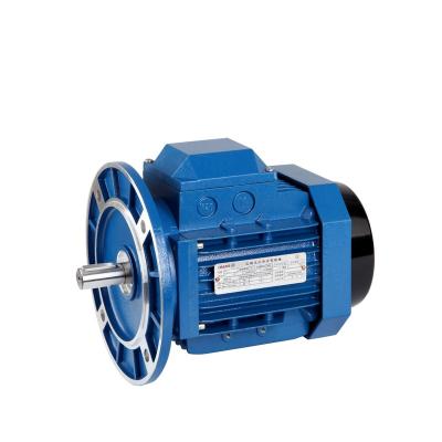 China 5.5KW 7.5HP Three Phase Electric Motor MS 132S-4 B3 B5 B14 B35 B34 for sale