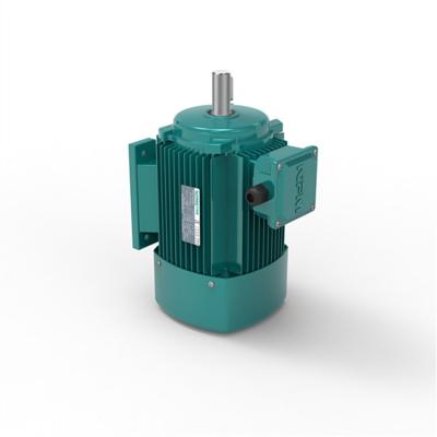 China Total-enclosed fan-cooled type totally enclosed induction motor for sale