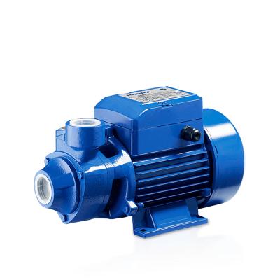 China Family homes easy to sale Elestar IDB series vortex 1hp low pressure peripheral water pump for home for sale