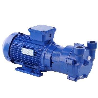 China 2021 Family Homes Wenzhou Qilian Transformer Dry Vacuum Pump Roots Screw Dry Vacuum Pump System Made In China for sale