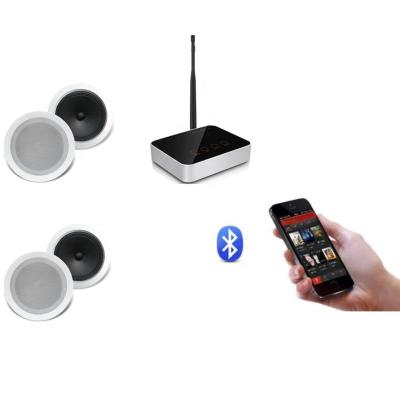 China No Address System Home Theater Wireless Music System Ceiling Mount Wireless Speakers and Receiver for sale