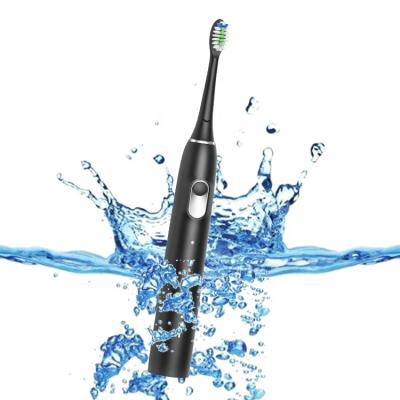 China Higher Frequency Shaking OEM Private Label Travel Household Sonic Electric Toothbrush Oral Care Rechargeable Automatic Electric Toothbrush for sale