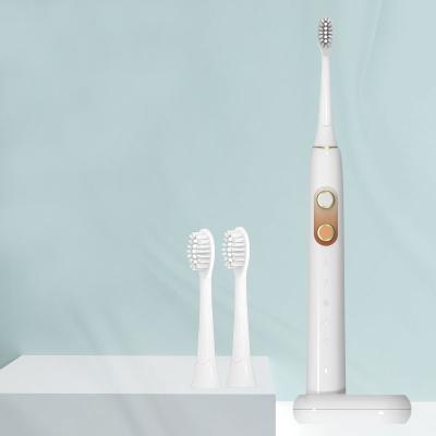 China Inductive Charging & Newest USBcharging Rechargeable 60 Days Use Electric Toothbrush with Factory Price and Beautiful Profile Electric Toothbrush for sale