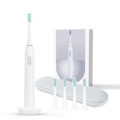 China Whosale Powerful Clean Teeth Cleaner 2021 New Plaque Removal Electric Toothbrush Automatic Sonic Toothbrush New for sale