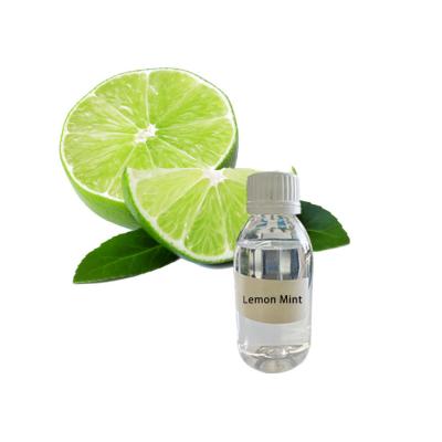 China Concentrated Classic Mint flavor fragrance For Vape Juice for sale