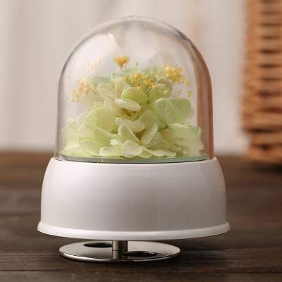 China decorative flowers & Garlands Wholesale Roses Preserved Flower Dry Rose Music Box In Glass Rotating Music Box for sale