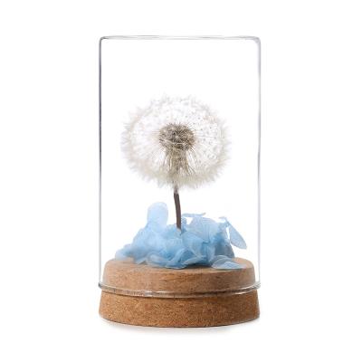 China decorative flowers & Braid Fashion Blue Eternal Dandelion Forever Preserved Dry Artificial Flower In Glass Dome For Home for sale