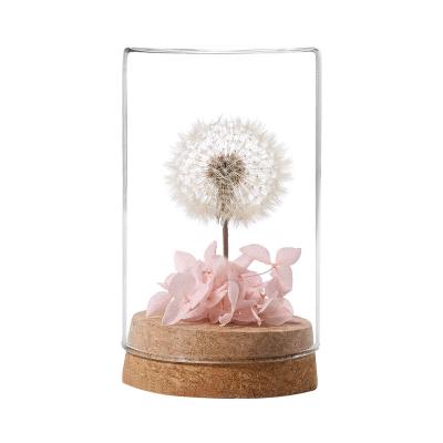 China decorative flowers & Everlasting Glass Dome Garlands Nature Eternal Dandelion Preserved Flower Forever In Glass Dome for sale