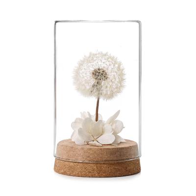 China decorative flowers & Garlands Fashion White Dry Fresh Eternal Dandelion Preserved Artificial Flower In Glass Dome For Birthday Valentine Gift for sale