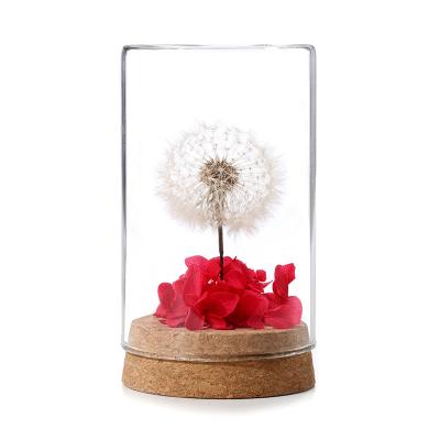 China decorative flowers & Red Dried Flower Garlands Dandelion Preserved Flower Gift In Glass Dome Birthday Anniversary Wedding for sale