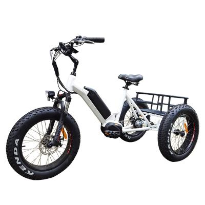 China Standard High Quality Fat Tire Delivery 20 Inch Electric Cargo Tricycle Moped Bike for sale