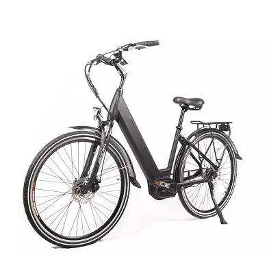 China New design 48v 500w 750w standard 2021 ebike mid drive ce cheap ebike powerful electric bike adult electric bike for sale