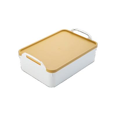 China Viable Promotional Custom Logo Plastic Storage Box Dust And Moisture Proof Home Storage Box for sale