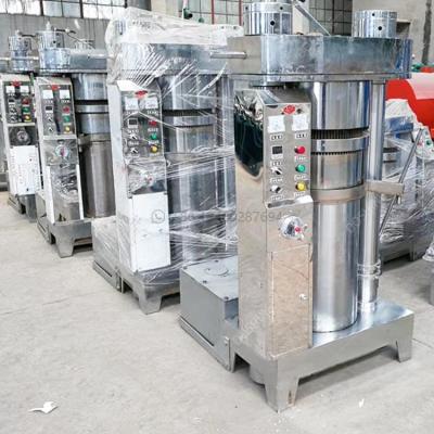 China Factory Price High Oil Yield Efficiency Olive Oil Press For Sale/Cold Olive Oil Press Machine Oil Press Machine for sale