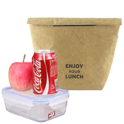 China Custom Eco Friendly Waterproof Insulated Lunch Tyvek Paper Cooler Bag for sale