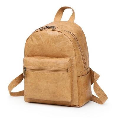 China Eco-friendly Waterproof Tyvek Brown Paper Bag Dupont Tyvek Paper Lightweight Backpack for sale