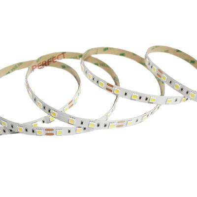 China LANDSCAPE tube milky silicone IP65/IP50 waterproof gule 60led/m smd 24V 5050 led strip light for sale