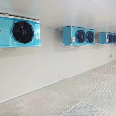 China container cold room freezer for fish manufacturers cold room storage cold storage room price for sale