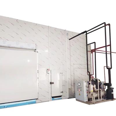 China Container Walk In Cold Freezer Room Price Refrigeration Plant For Fruit And Vegetable Freezer Cold Room for sale