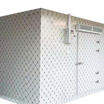 China Container Cold Room Walk In Freezer Storage Coldroom Cold Room Freezer Cold Room for sale