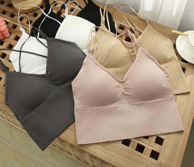 China High quality radio beauty sexy back ladies one-piece exercise bra vest match inner tube top wrapped chest for sale