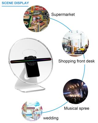 China 25cm Portable min led hologram fan table top 3d holographic advertising display en venta