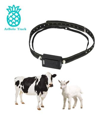 China Solar Powered Pets GPS Tracker 4G GPS Tracker For Animals Long Standby For Cattle Sheep Horses With Geo Fence Fast Delivery In Stock White Label à venda