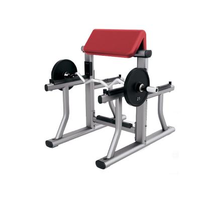 China Combination Biceps Workout Bench Weight Bench Arm Loop Gym Stools Biceps Exercise Chair Bench Home Strength Bench Workout Biceps Bench for sale