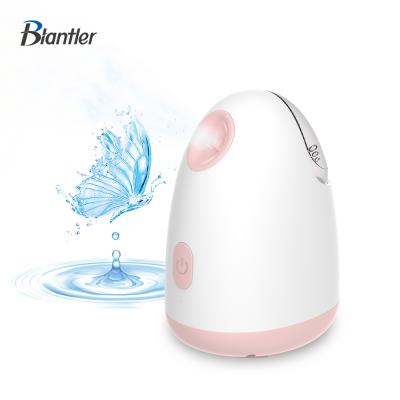 China Custom Logo Steamer Facial Steamer Nano Facial Steamer DEEP CLEANING Nano Facial Spa for sale