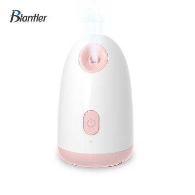 China Custom Professional Custom Ionic Facial Steamer Moisturizer Steamer Ozone Facial Massage Steamer Wholesale Portable Unique Sauna Facial for sale