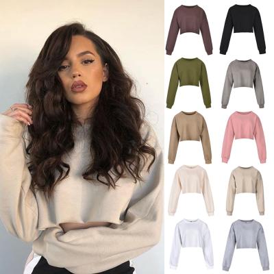 China Wholesale Breathable Comfortable Long Sleeve Crop Top Pullover Casual Hoodie For Women for sale