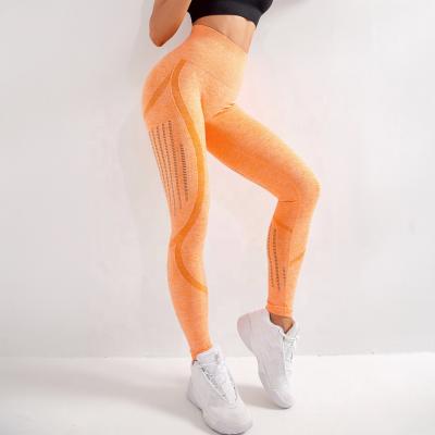 China Breathable Ladies Seamless Quick Dry Fitness Pants Hollow Out Sweatpants High Waisted Hips Skinny Yoga Gaiters for sale