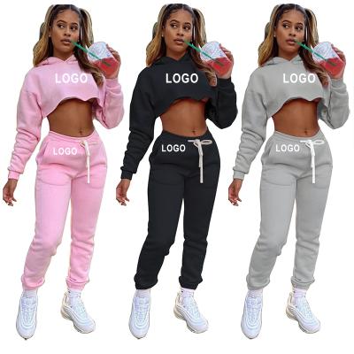 China Women's Autumn Sweater 2 Pcs Breathable Sport Set Wortout Active Hoodie Casual Wear Gear Running Hooded Wear for sale