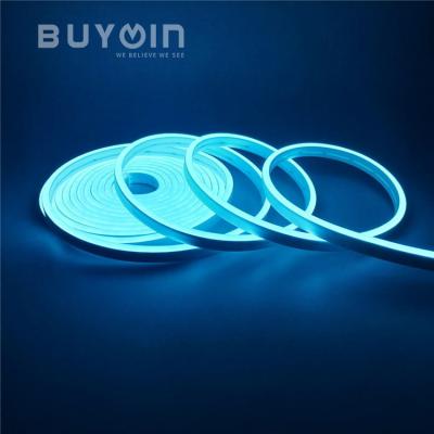 China LANDSCAPE Light 16.4ft/5m DC12V SMD2835 LED Strip Light Blue Color LED Strip Light Waterproof Flexible Neon Lamps IP65 Neon Decoration for sale