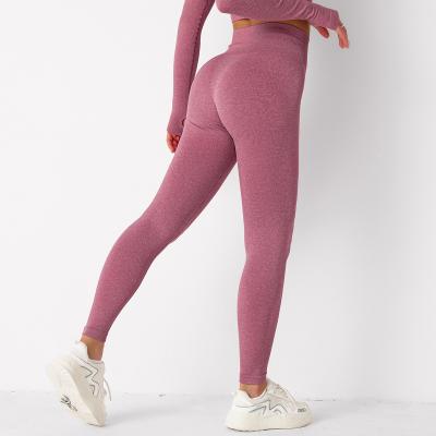 China 6 Colors Workout Breathable Workout Clothing Seamless Sport Ribbed Mesh Yoga Set Gym Wear Yoga Sets Running Suit for sale