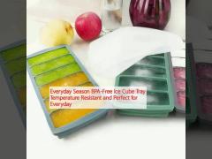 Everyday Season BPA-Free Ice Cube Tray Temperature Resistant and Perfect for Everyday