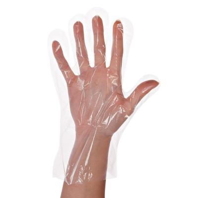 China Highly Elastic Polythene Hand Gloves / Medical TPE Clear Single Use Gloves for sale