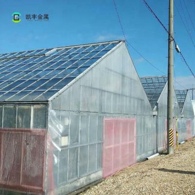 China Fruits Flowers Green Houses Agriculture Plastic Film Vegetable Greenhouse For Flower for sale