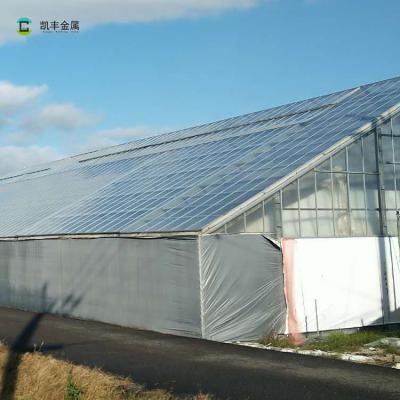 China Easily Assembled Professional Greenhouse Galvanized Steel Frame Multi-span Greenhouses for sale