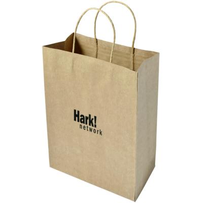 China 2021 New Arrived Custom Printed Kraft Paper Gift Bag With Logo Matt Laminantion for sale