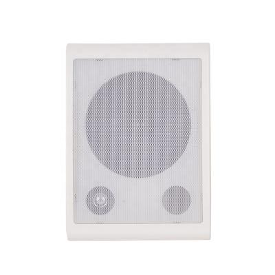 China PORTABLE 6.5 Inch 10 Watt ABS Flat Wall Mount Speaker On Wall Rack for sale