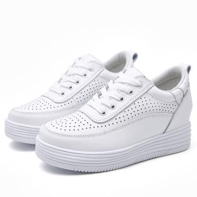 China White Fashion Trend Style New Hidden Heel Sneakers Height Increasing Shoes Hidden Height Increase Shoes for sale